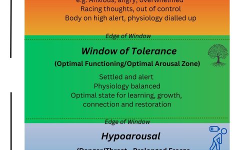 Window of Tolerance Original